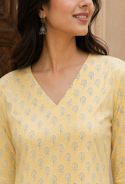 Paisley Print Straight Kurta